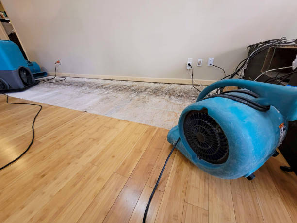 Professional Basement Flood Cleanup technician working in Morrisville, PA